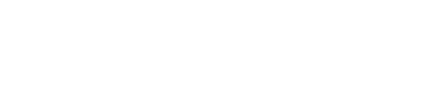 CV Humanitarian Travel